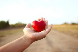 Hands carrying heart in a palm