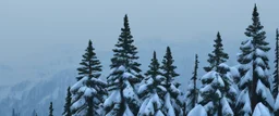 mountain. range pine wood in the snow by Andrea del sarto