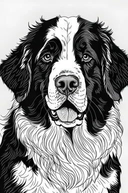 A line art of a dog (Bernese Mountain Dog). make this black and white and a bit filly