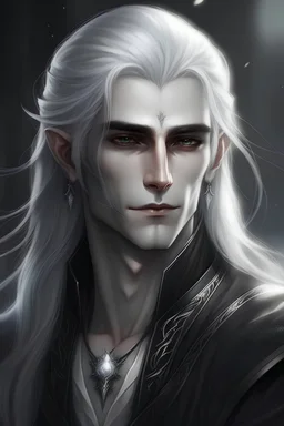 Ethereal Handsome silver haired moon elf man beautiful black eyes