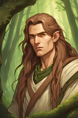generate male druid portrait for dungeons and dragons with Light brown long hair, green moody forest in background