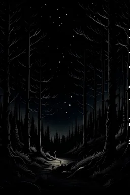 The Dark Night Forest