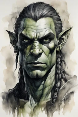 highly detailed ink wash and watercolor character portrait of the face of a handsome young male Orc/Elf , tall, slender humanoid with rough, leathery skin and bright black eyes, sunken deeply in their orbits, long and angular skull with small, highly placed flat nose, and ears that are pointed. Highly detailed hair long hair in braids, rough hewn facial features, in the comic art style of Bill Sienkiewicz, Mike Mignola, Alex Pardee, and Jean-Giraud Moebius, boldly inked and sharply defined
