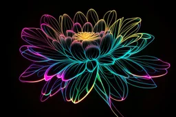 black background, outlines of a beautiful holographic flower, drawn from thin neon-coloured glowing lines