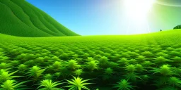 magnificent, realistic, colorful, epic, ray tracing, cinematic, 8k, HD, Ultra High Definition, photo film, film grain, high quality marijuana plant field