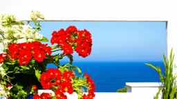 Pintura de geranios rojos → Luminismo mediterráneo → Balcón encalado frente al mar → Estética costera y brillante → Lenguaje visual de pinceladas de luz pura → Materialidad de acrílico sobre lienzo → Composición de primer plano con fondo desenfocado de mar → Iluminación de sol de mediodía rebotando en paredes blancas → Paleta de altos contrastes lumínicos → Atmósfera veraniega y radiante → paleta cromática de rojo geranio, blanco cal y azul turquesa → grado de abstracción impresionista luminoso