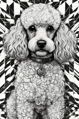 poodle, in the style of manga, 343000, High Detail, Geometric background, Black and white