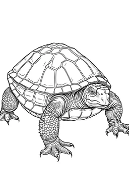 Simple on line draw for kids 'Common Snapping Turtle' inolated on white, white background, without color, black and white, full image