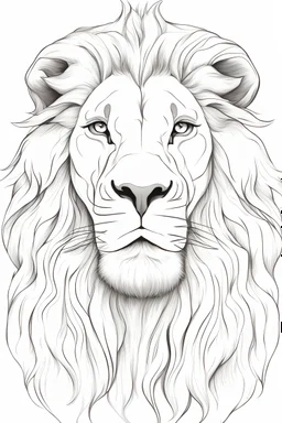 Outline art for “A close-up sketch capturing the regal face of a lion with a flowing mane”, white background, sketch style, full body, only use outline, clean line art, no shadows, clear and well outlined.