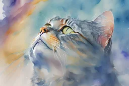 Portrait d'un chat regardant vers le ciel, aquarelle, style art figuratif abstrait. couleurs vives nuances de gris, très réaliste, très précis.