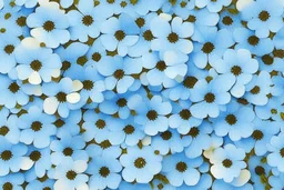 top view pattern of forget-me-not flowers