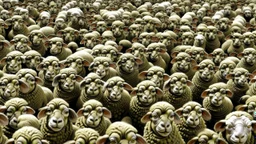 large crowd of soldiers all with sheep heads