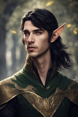young elven man, golden eyes, black hair, dressed in elegant elven tunic