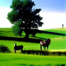 Nebraska 1997 Wild Horse Hill Photo, FNAF Purple guy in the foreground behind a tree.