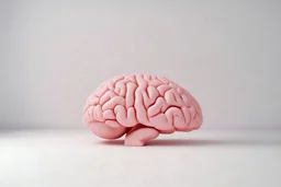Une pièce vide blanche, , sur le sol un cerveau rose, liminal atmosphere