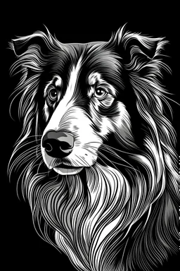A line art of dog (Collie). make this black and white and a bit filly.