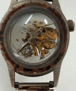 wristwatch death underwater detailed rust decay fish evil nice clean clear