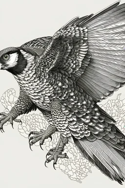 "Create an AI line art piece featuring the Peregrine Falcon, one of nature's fastest and most agile predators. Capture the bird in flight, showcasing its incredible speed and grace. Highlight the intricate details of its feathers and the intensity in its eyes, embodying the essence of this magnificent raptor."