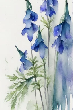 wet watercolour, blue green grey stalks delphiniums,