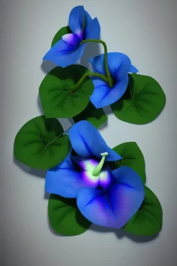 three Blue morning glory with green leaves, arranged vertical, a digital rendering by Kanzan Shimomura, photo realistic rendered in maya and daz3d, with a dark blue background