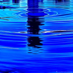 reflections in blue