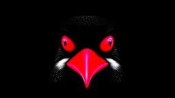 angry penguin | black background | red eyes