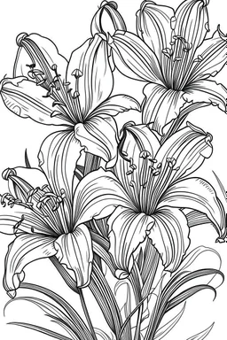 Outline art for coloring page, LILIES WITH STEMS, coloring page, white background, Sketch style, only use outline, clean line art, white background, no shadows, no shading, no color, clear