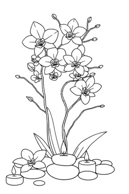 outline art for visually rich appealing tall ikebana heart orchids plumeria spa rounded stones around candles, coloring page for kids, white background, fit to page, only use outline, clean line art, no shadows, clear and well outlined