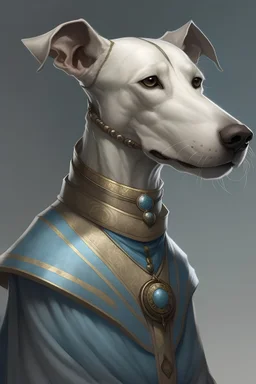 Female whippet humanoid d&d character dressed a paladin