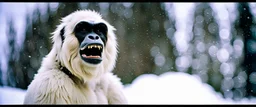 close up of a Yeti in a documentary photography, November 1980, Yeti, Dystopian, Japanese, Extreme depth of field, bokeh blur, winter, blizzard, Alberta, all-natural, in the style of candid, imperfection, natural lighting, Professional shot, shot on Agfa, Fuji Film, Anamorphic lens --ar 4:5 --w 150 --style raw