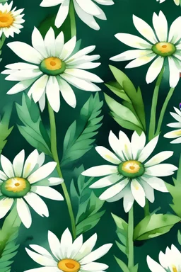 daisy dark green flower watercolor