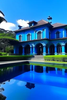 blue mansion with a huge infinity pool and garden