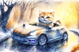Cute little happy cat scarecrow riding a luxury car, forest path background, winter, snowflakes swirling, waterfall, reflection, mist, sunrise, smooth intricate photorealistic hyperrealistic high definition beautiful lighting pencil sketch watercolor dramatic lighting storybook illustration polished Deep shadows deep color warm light shiny glitters