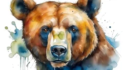 ראש של דובי באיור צבעי מים
