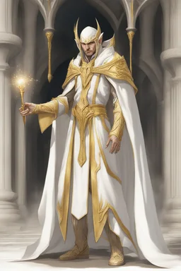 High elf wizard wearing gold hemed white cloak