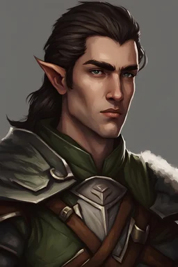 half elf male, ranger knight, in baldur's gate portrait style.