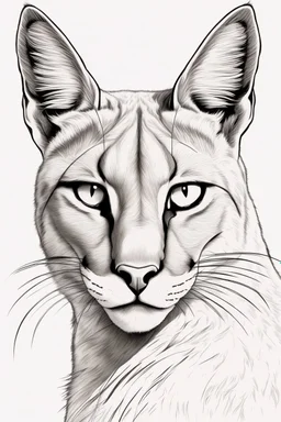 "Generate an AI line art of a Caracal in a dynamic front shot, half-body pose. Capture the distinct features of this wild cat, emphasizing its grace and alertness. Use clean lines to showcase the caracal's unique characteristics in a striking and detailed illustration."