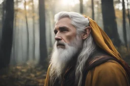 Photoreal en-profile beardless elf looking up tall rugged and sturdy golden-eyed elf poet historian with golden eyes and long silver hair but beardless and golden eyes in colorful robes deep in Cormanthor forest in Faerun in the autumn mist at golden hour by lee jeffries, otherworldly creature, in the style of fantasy movies, shot on Hasselblad h6d-400c, zeiss prime lens, bokeh like f/0.8, tilt-shift lens, 8k, high detail, smooth render, unreal engine 5, cinema 4d, HDR, dust effect, vivid colors