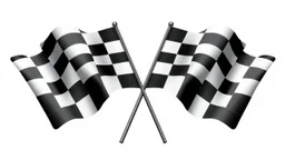 2 checkered finishing flags crossed , black and white vector