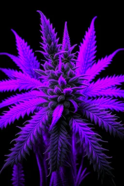 Masterpiece, photography,purple moose marijuana