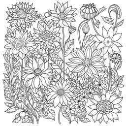 outline art for square A flowers surrounded coloring page for kids, classic manga style, anime style, realistic modern cartoon style, white background, sketch style, only use outline, clean line art, no shadows, clear and well outlined