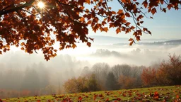 Autumn: falling leaves, Misty mornings, fog over distant fields or forests, sunshine; people wear scarves, woolly hats, gloves, steaming hot drinks; birds migrating, squirrels gathering nuts, rabbits, chestnuts, acorns, berries, rowan, holly, mistletoe, beautiful colours, atmospheric. Award winning photograph.