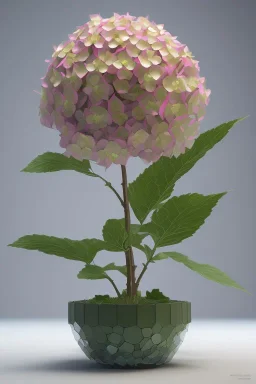 an isolated translucent hydrangea plant, 3d render, art nouveau style, ultra realistic, masked transparent flat background, backlight, popular on sketchfab, pixelsquid, 8k, volumetric lighting, super focused, no blur, trending on artstation, octane render, ultra detailed, hyperrealistic, by artgerm and alphonse mucha