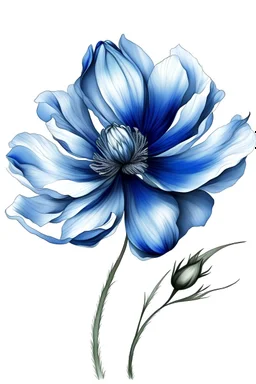 blue flower illustration defined and detailed with white background