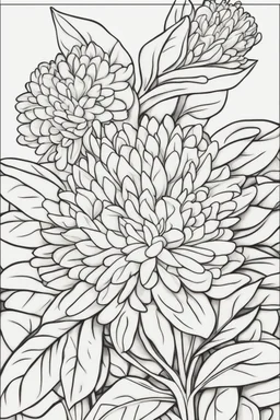 flowers coloring page for kids, Ixora, cartoon style, thick outline, low details, no shading, no color