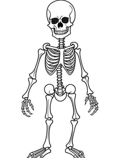 outline art for halloween coloring pages for kids with cartoon cute skeleton , white background, Sketch style, full body, only use outline, clean line art, white background, no shadows and clear and well outlined, coloring page for kids,