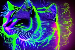 Black light art, neon cat