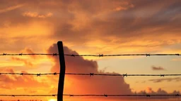 sunset,Dramatic Clouds Behind A Barbed Wire Fence