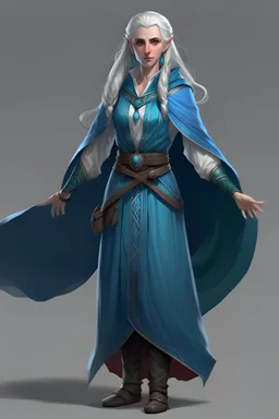 elf pirate sorcerer woman whole body blue cloak white streaks hair