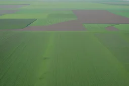 fields and forest and grassy flatlands